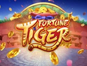 online cricket games