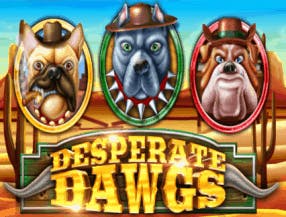 bet7 app