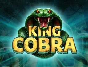 jogar no jogo do bicho